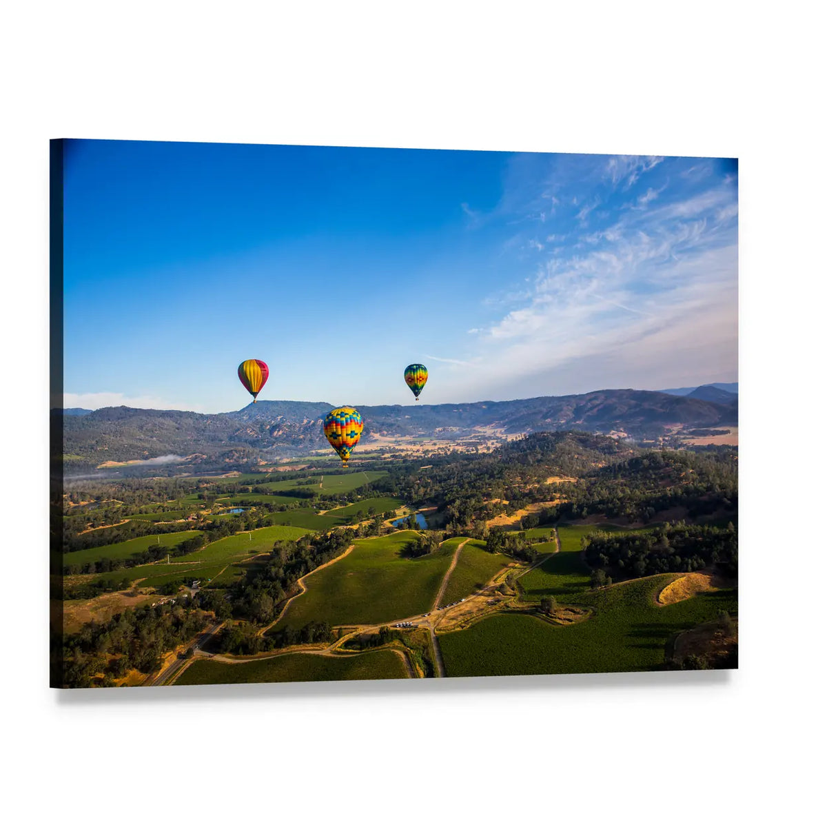 Hot Air Balloons Over Napa Valley Canvas Wall Art, single panel gallery wrapped canvas, angled product view