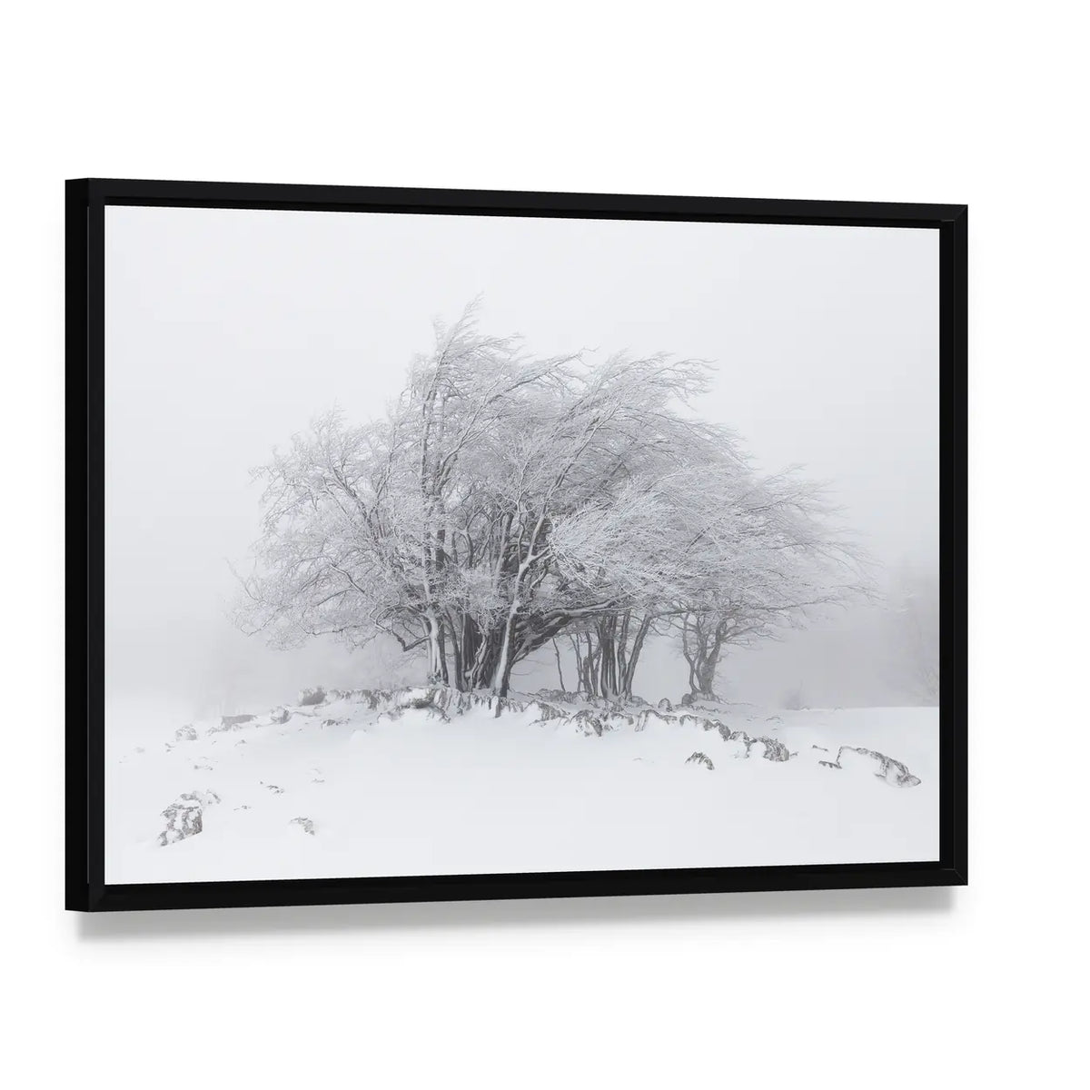 Foggy Winter Landscape In The Forest Canvas Wall Art, framed canvas in a black floater frame, angled product view