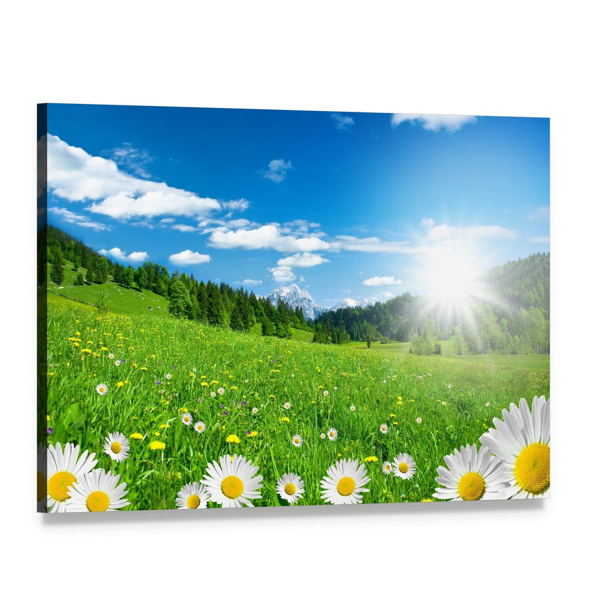 Spring Time in the Alps with Flowers and Sky Canvas Wall Art, single panel gallery wrapped canvas, angled product view