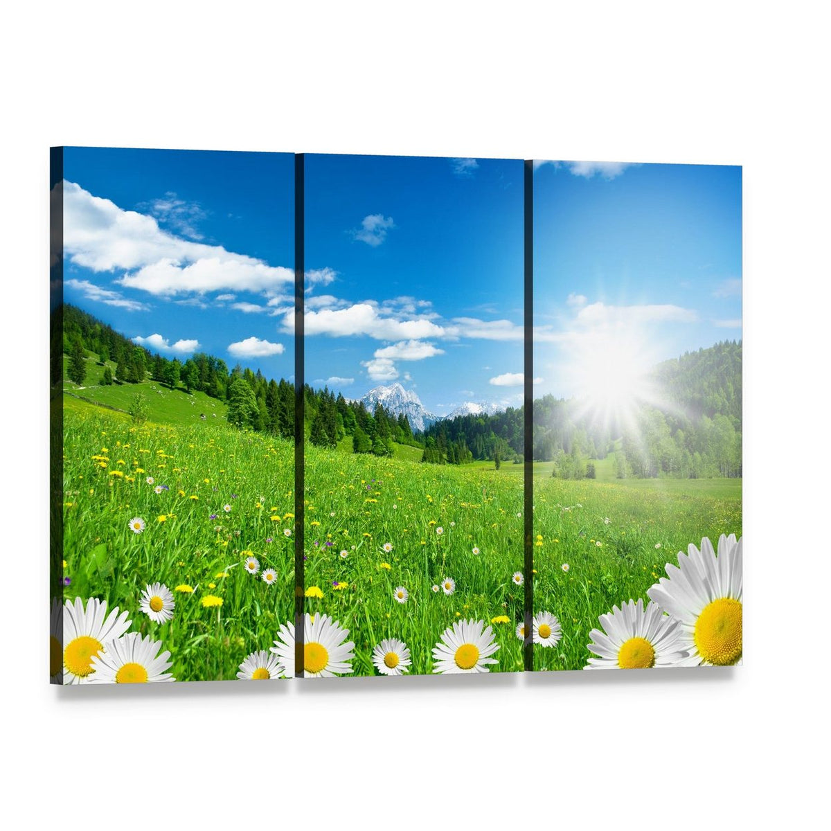 Spring Time in the Alps with Flowers and Sky Canvas Wall Art, 3 panel 3 Horizontal layout gallery wrapped canvas set, angled product view