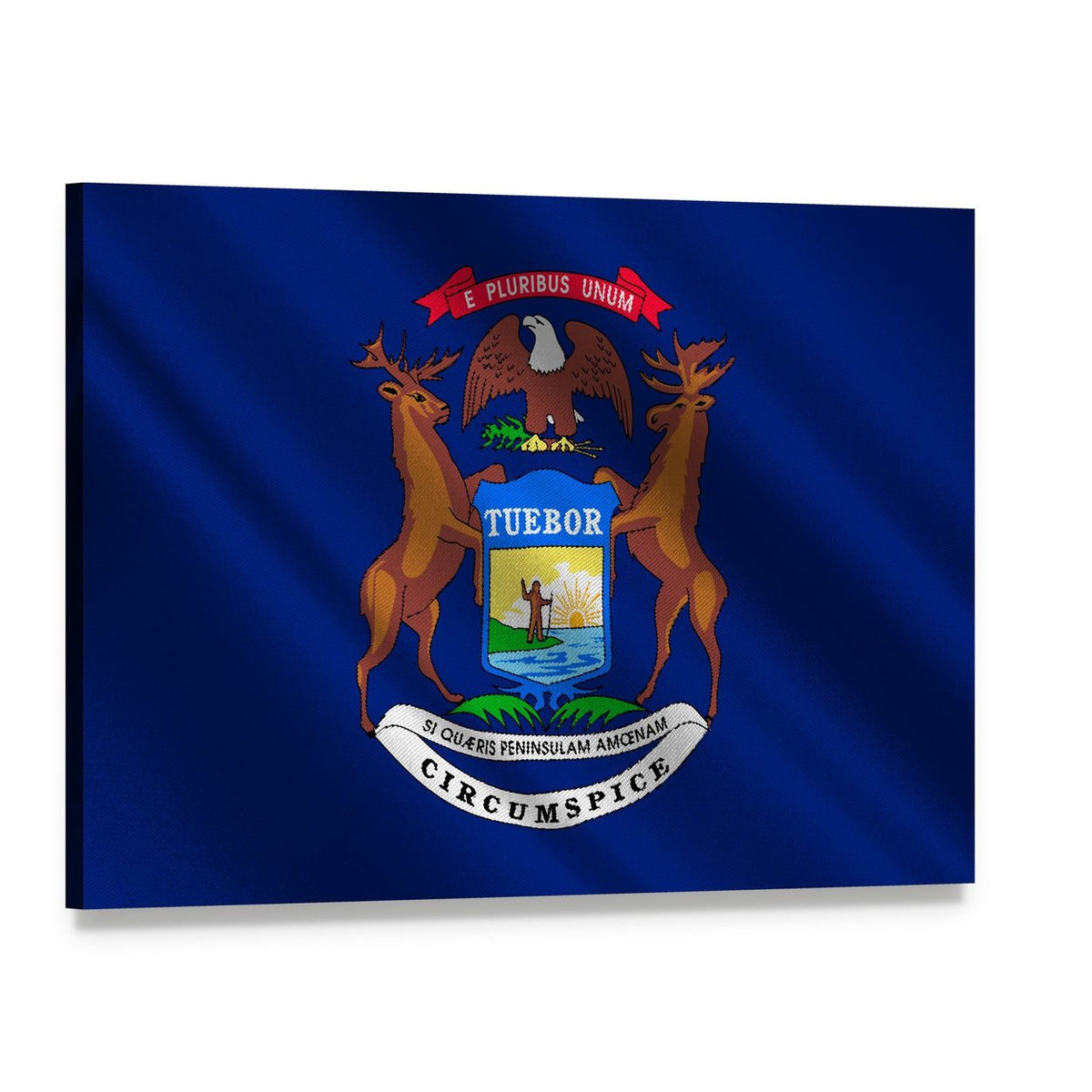 Michigan State Flag Canvas Wall Art, single panel gallery wrapped canvas, angled product view