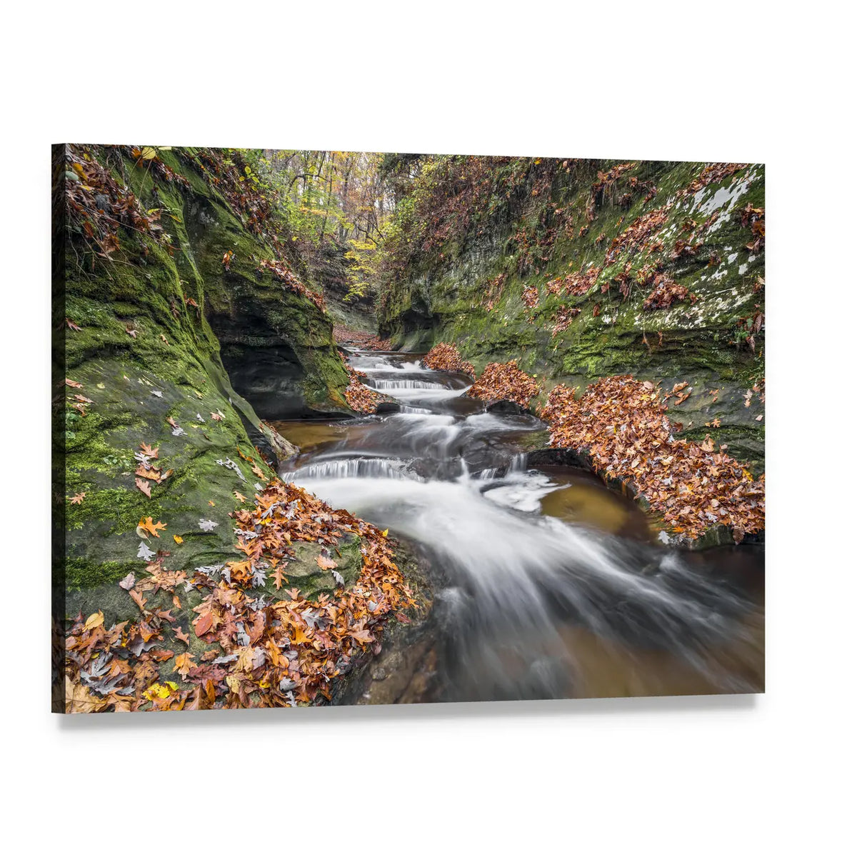 Fall Creek in a Woodland Gorge Canvas Wall Art, single panel gallery wrapped canvas, angled product view