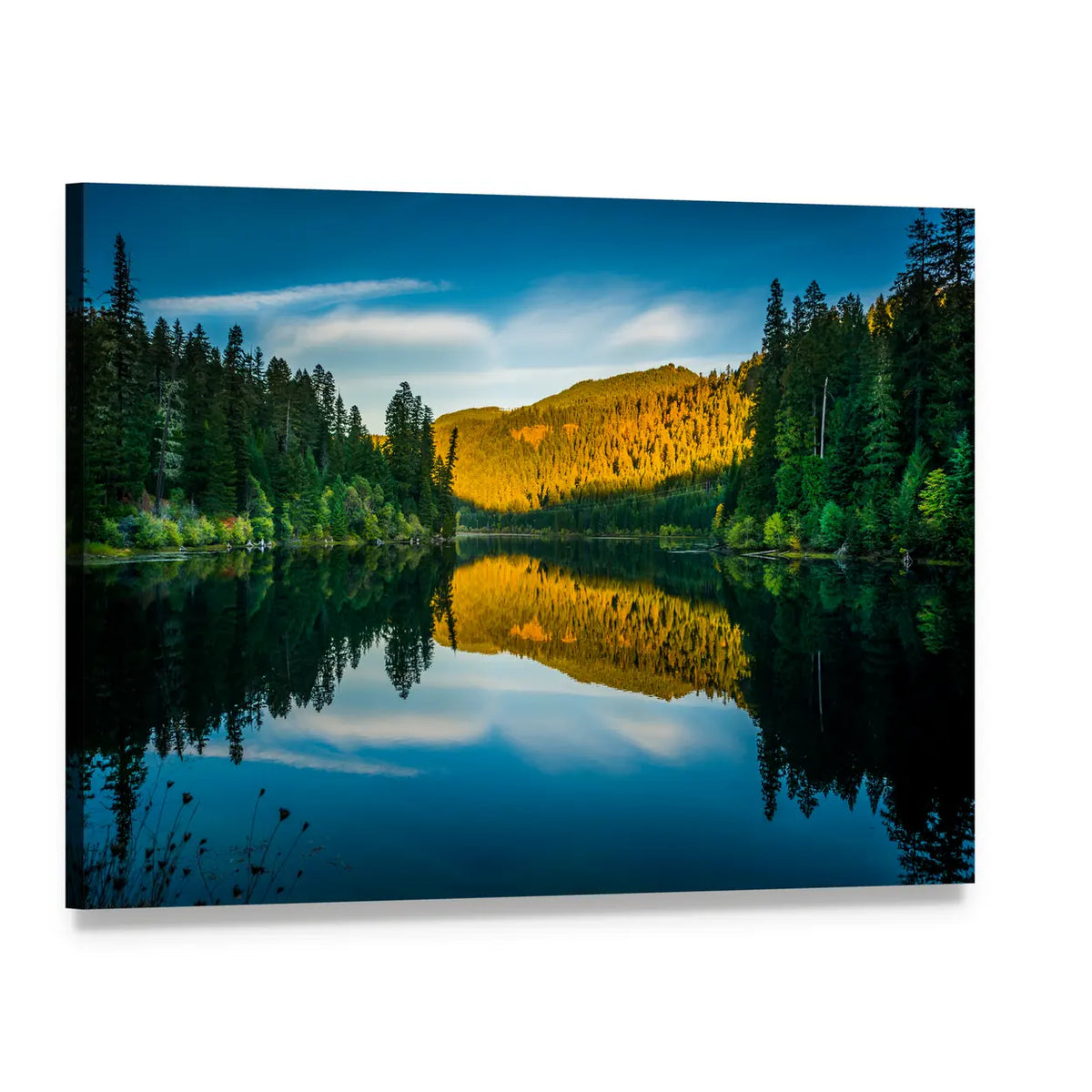 Toketee Lake Golden-hour Reflection Canvas Wall Art, single panel gallery wrapped canvas, angled product view