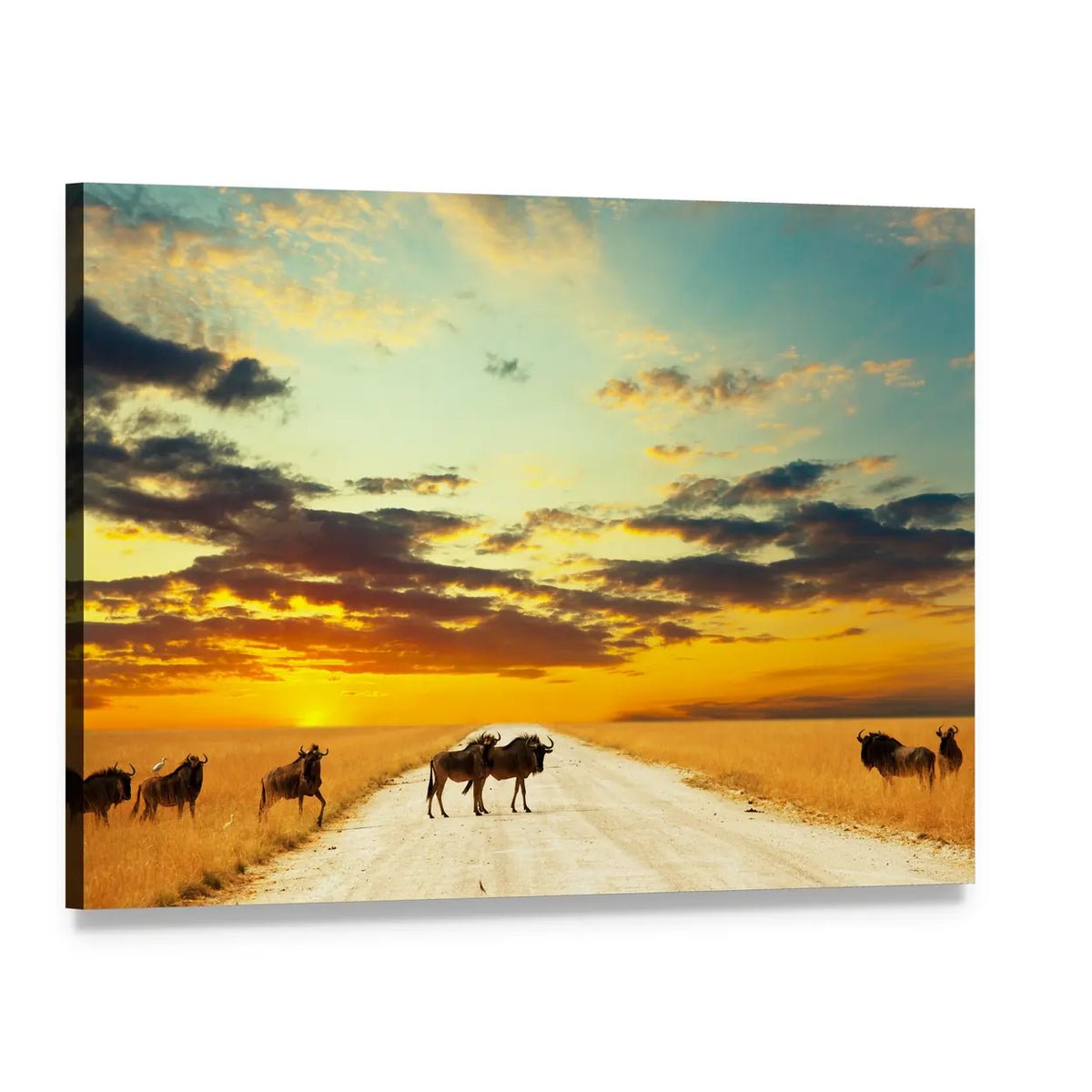 Wildebeests Crossing at Sunset Canvas Wall Art, single panel gallery wrapped canvas, angled product view