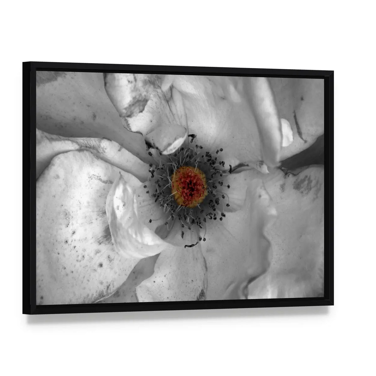 Selective Color Macro Flower Canvas Wall Art, framed canvas in a black floater frame, angled product view