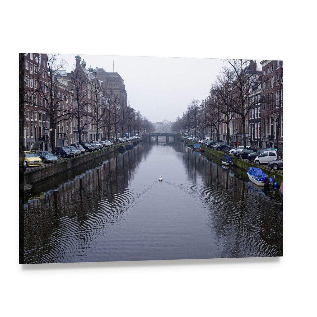 Amsterdam Canal with Swans and Boats Canvas Wall Art, single panel gallery wrapped canvas, angled product view