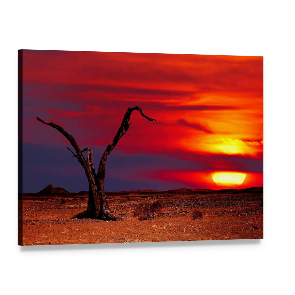 Dead Tree at Desert Sunset Canvas Wall Art, single panel gallery wrapped canvas, angled product view