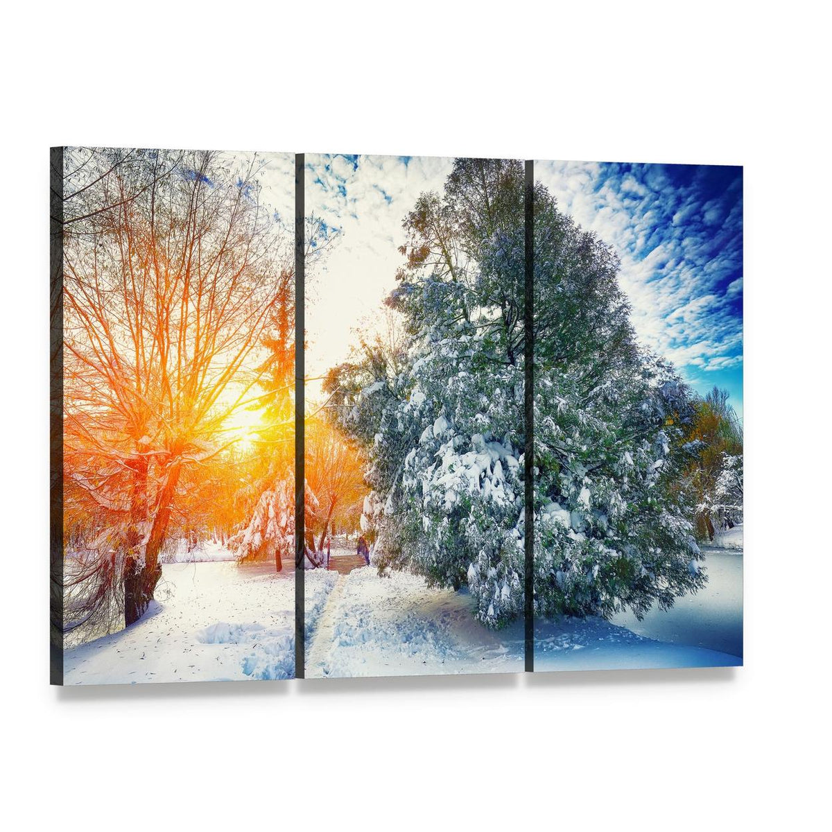 Winter Sunlight Through Snowy Pine Trees Canvas Wall Art, 3 panel 3 Horizontal layout gallery wrapped canvas set, angled product view