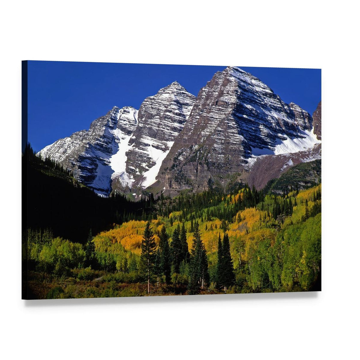 Majestic Colorado Forest with Autumn Foliage Canvas Wall Art, single panel gallery wrapped canvas, angled product view