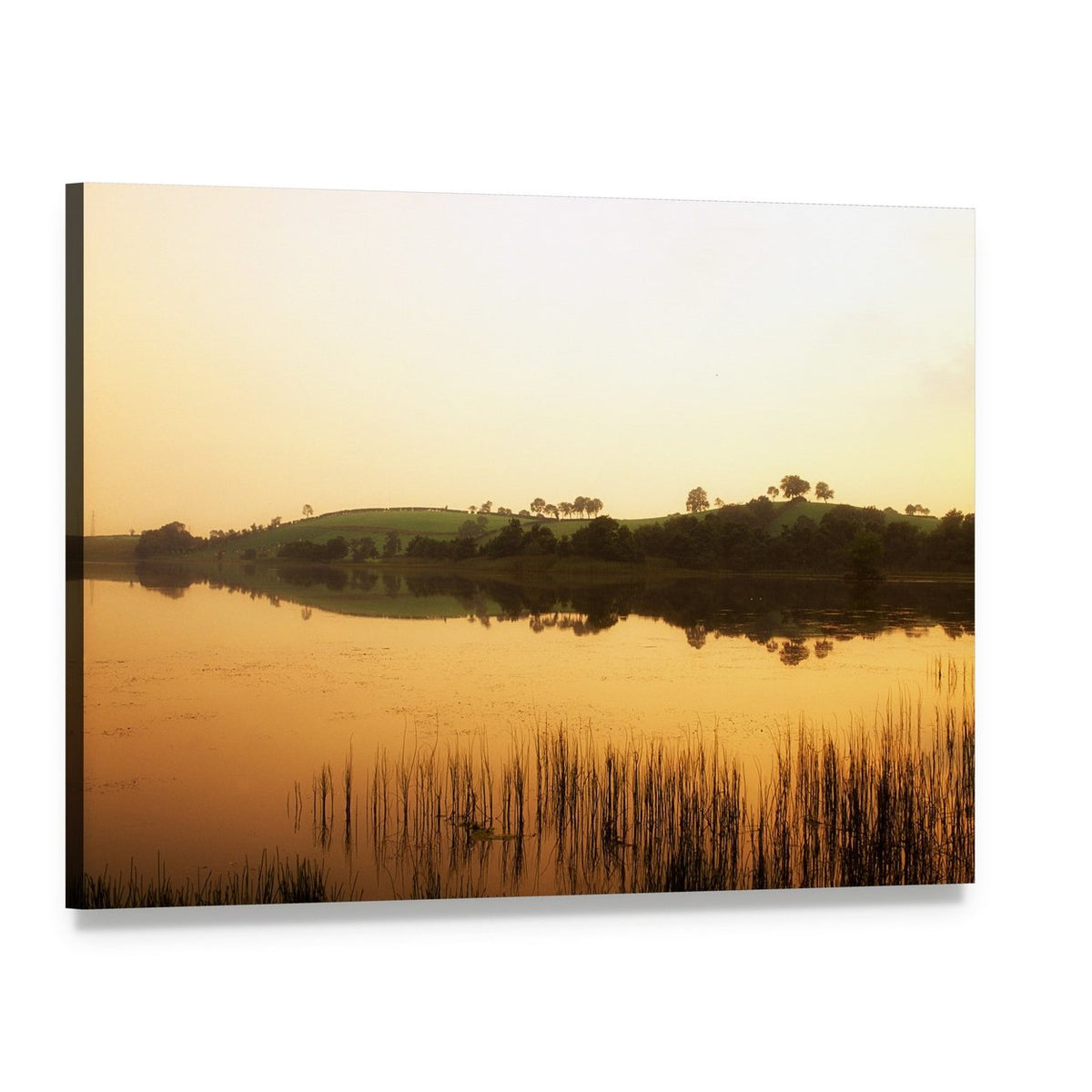 Reeded Lake at Golden Dusk Canvas Wall Art, single panel gallery wrapped canvas, angled product view