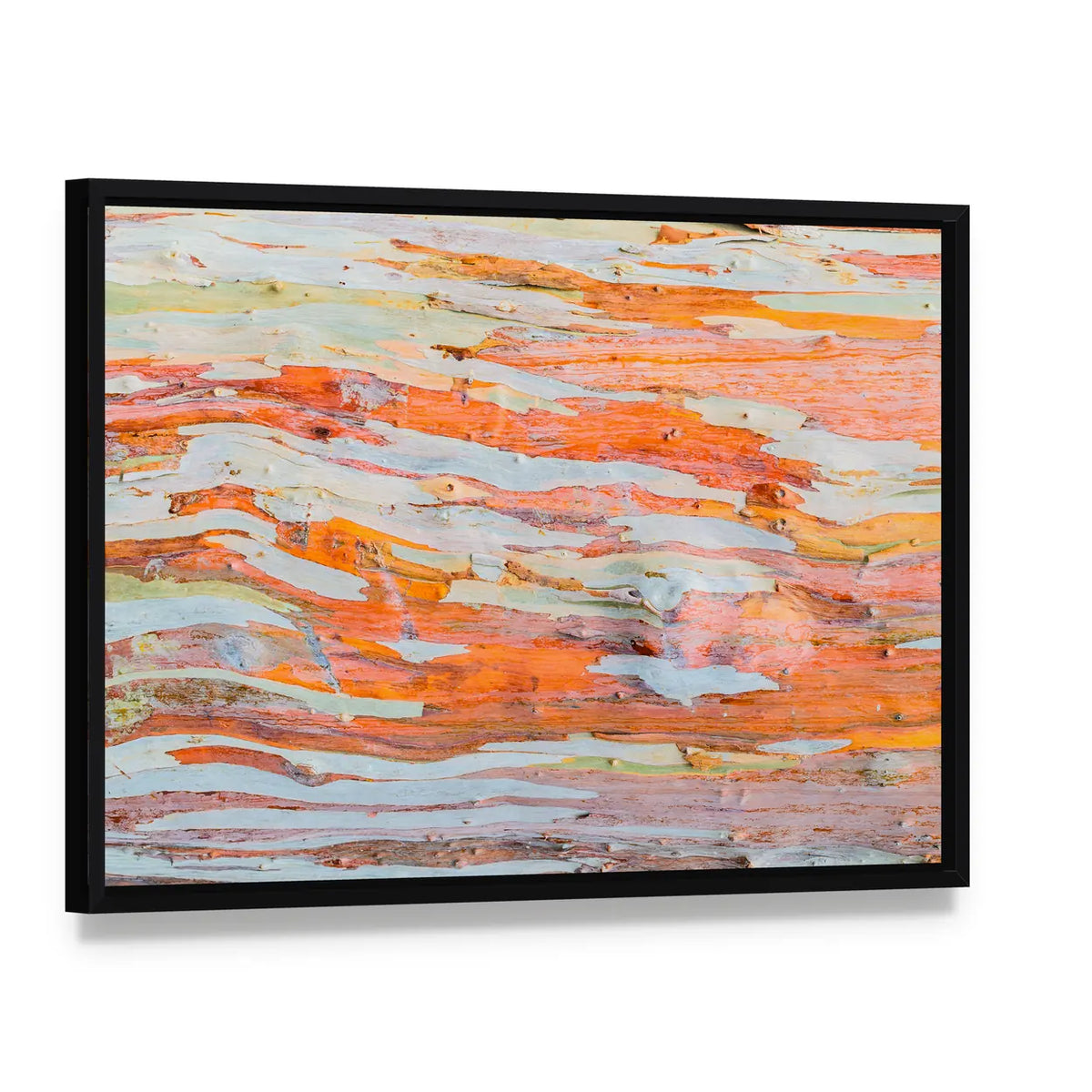 Eucalyptus Tree Bark Canvas Wall Art, framed canvas in a black floater frame, angled product view