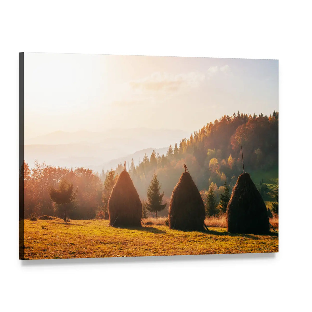 Carpathian Haystacks at Sunset Canvas Wall Art, single panel gallery wrapped canvas, angled product view
