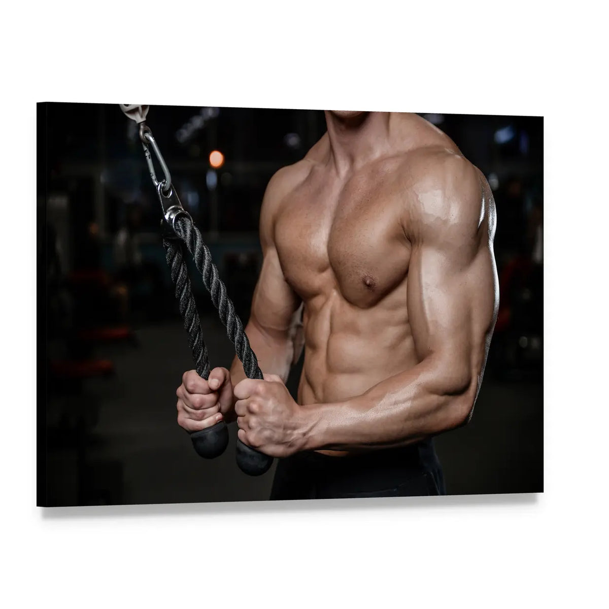 Bodybuilder Torso with Tricep Rope Canvas Wall Art, single panel gallery wrapped canvas, angled product view