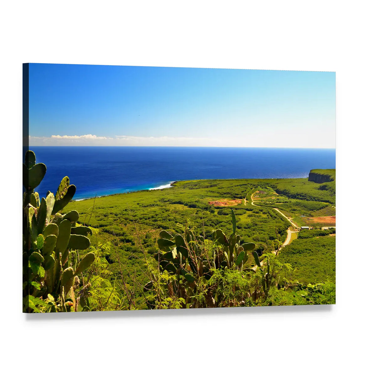 Saipan Coastal Landscape with Cactus Canvas Wall Art, single panel gallery wrapped canvas, angled product view