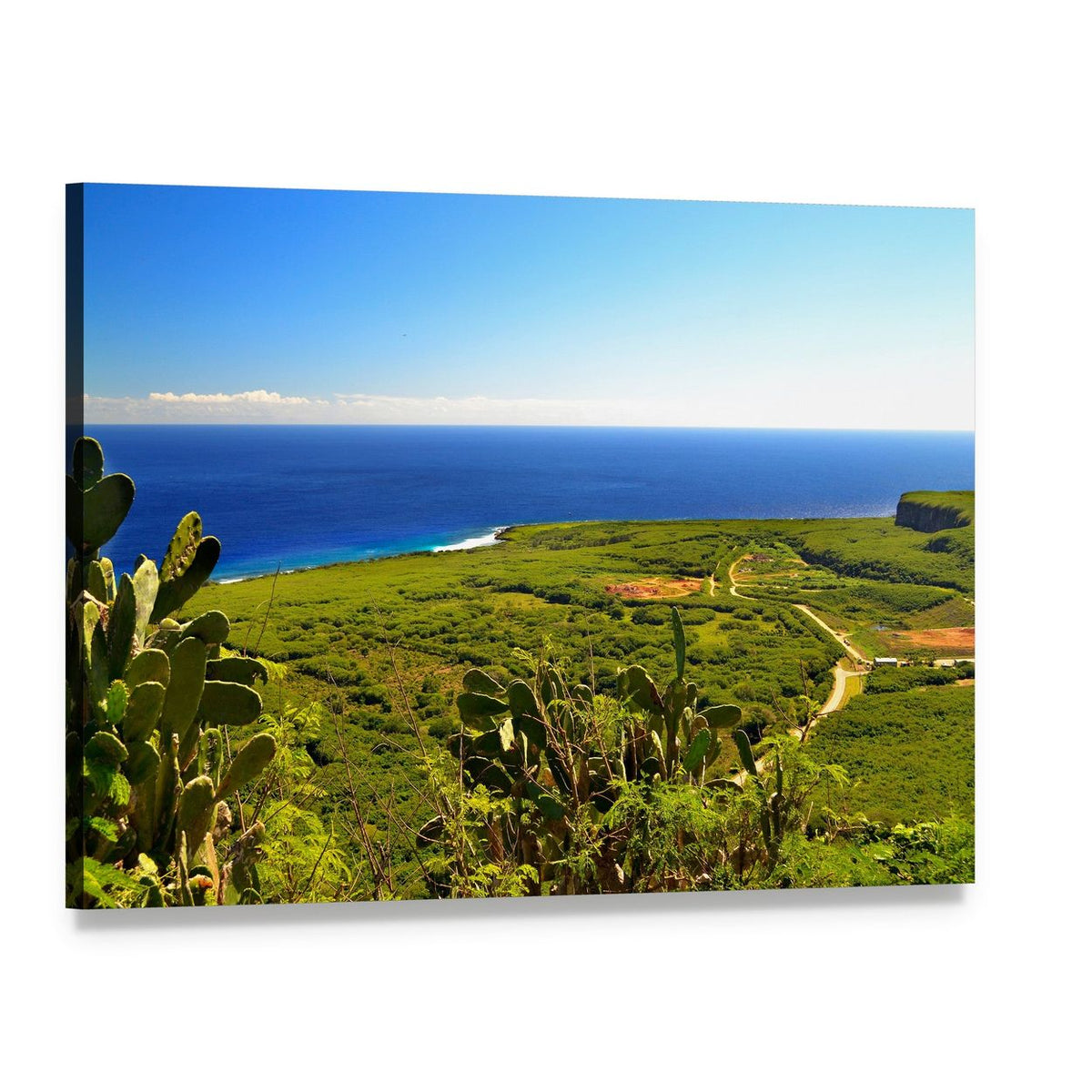 Saipan Coastline with Cactus Canvas Wall Art, single panel gallery wrapped canvas, angled product view
