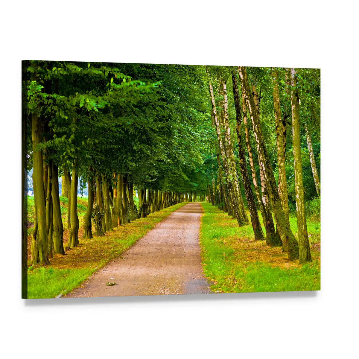 Spring Park Tree-lined Path Canvas Wall Art, single panel gallery wrapped canvas, angled product view