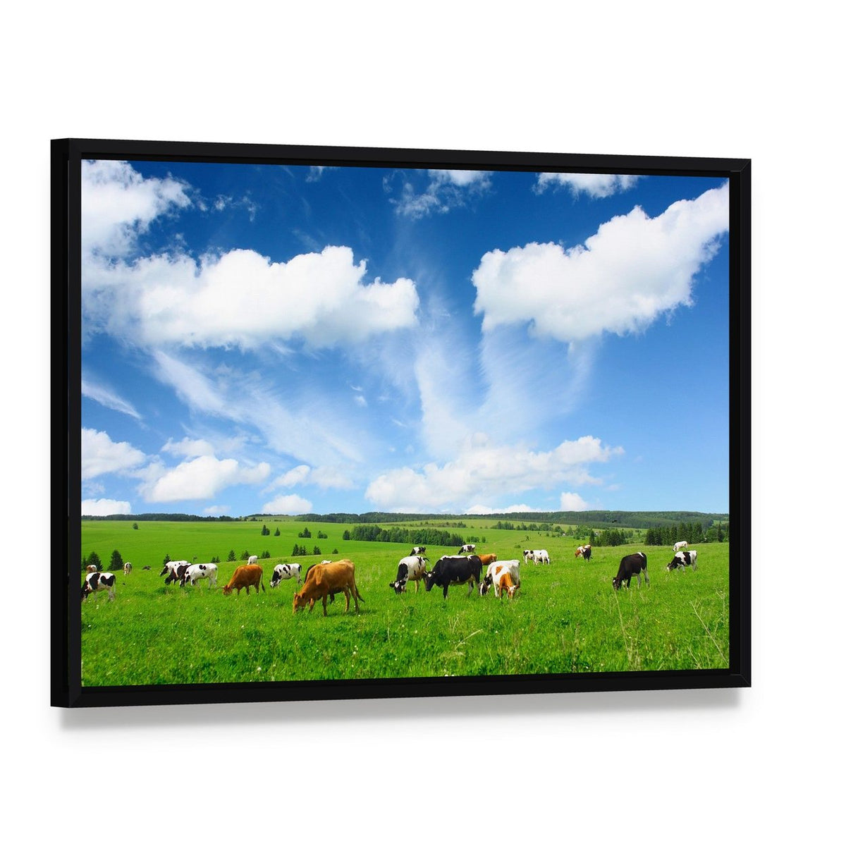 Cows in Green Meadow Canvas Wall Art, framed canvas in a black floater frame, angled product view