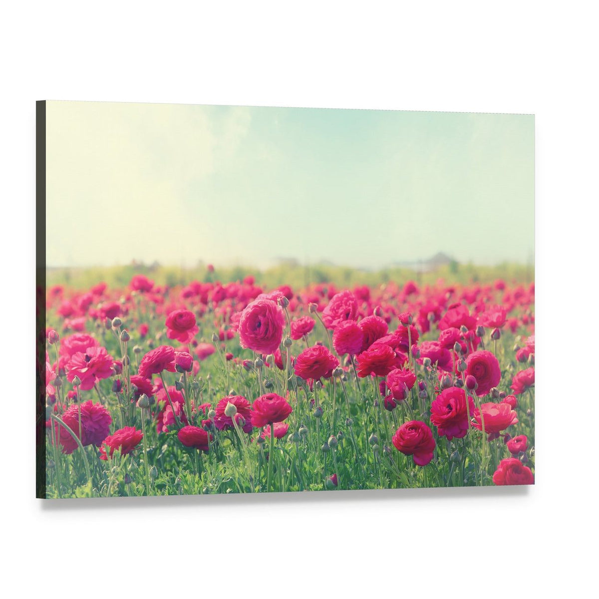 Pink Flowers in Spring Canvas Wall Art, single panel gallery wrapped canvas, angled product view