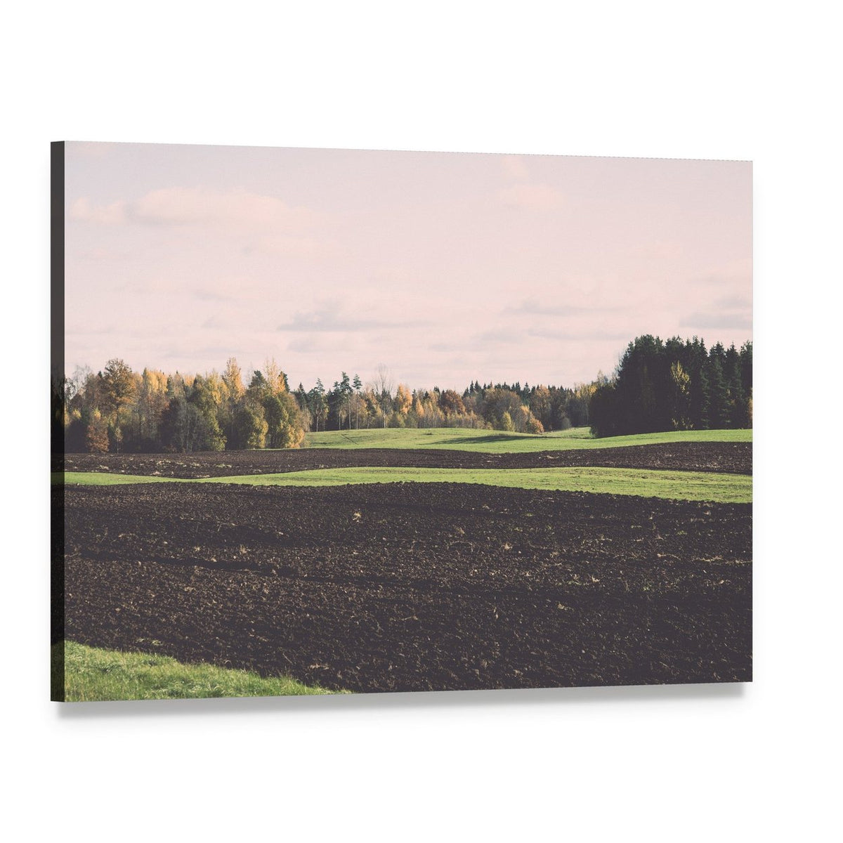Green Field and Trees in Autumn Canvas Wall Art, single panel gallery wrapped canvas, angled product view