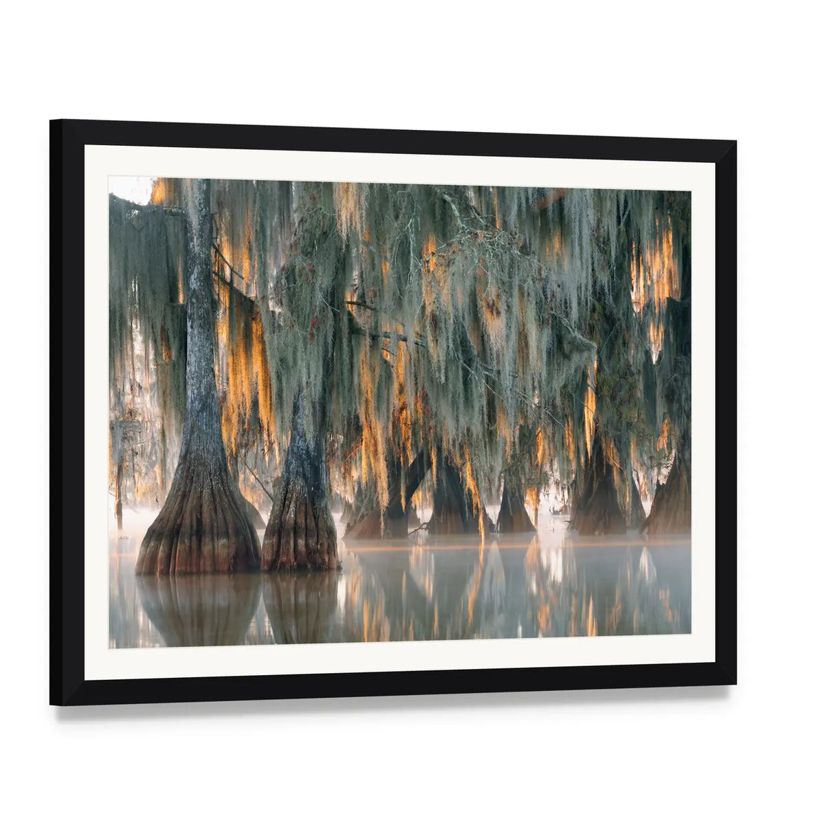 Bald Cypress Trees Canvas Wall Art, framed print with white mat and black frame, angled product view