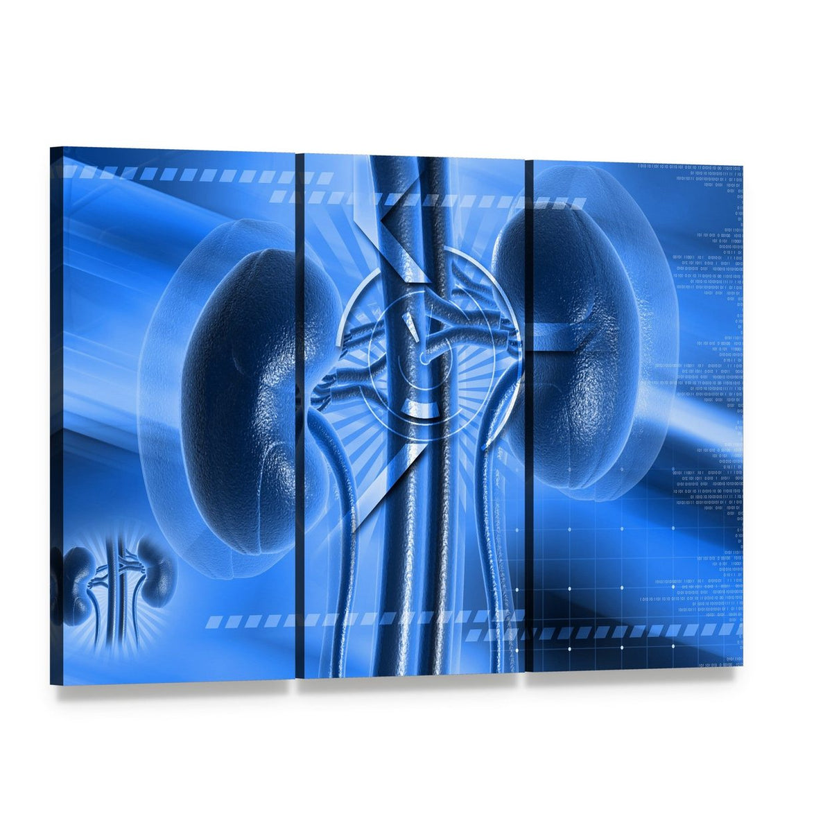 Abstract Kidney Anatomy Illustration Canvas Wall Art, 3 panel 3 Horizontal layout gallery wrapped canvas set, angled product view
