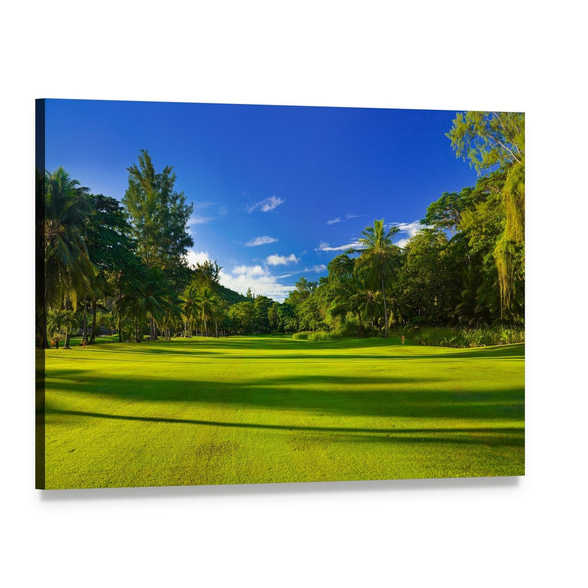 Sunlit Golf Course with Palm Trees Canvas Wall Art, single panel gallery wrapped canvas, angled product view