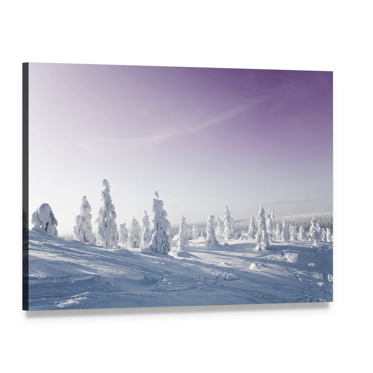 Snowy Trees Under Purple Sky Canvas Wall Art, single panel gallery wrapped canvas, angled product view