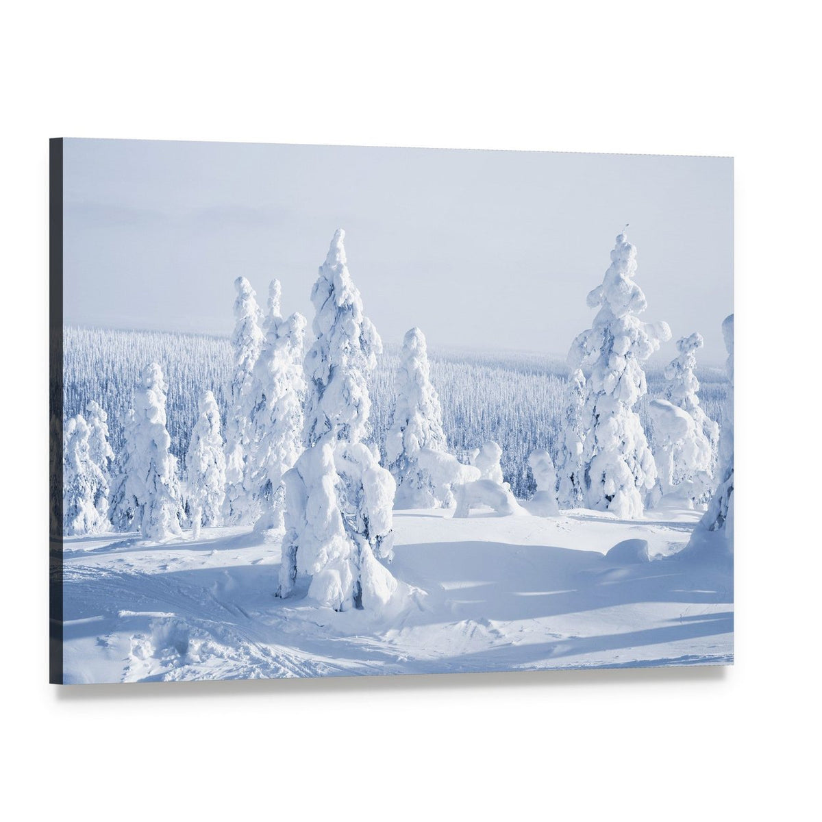 Serene Winter Landscape with Snowy Trees Canvas Wall Art, single panel gallery wrapped canvas, angled product view