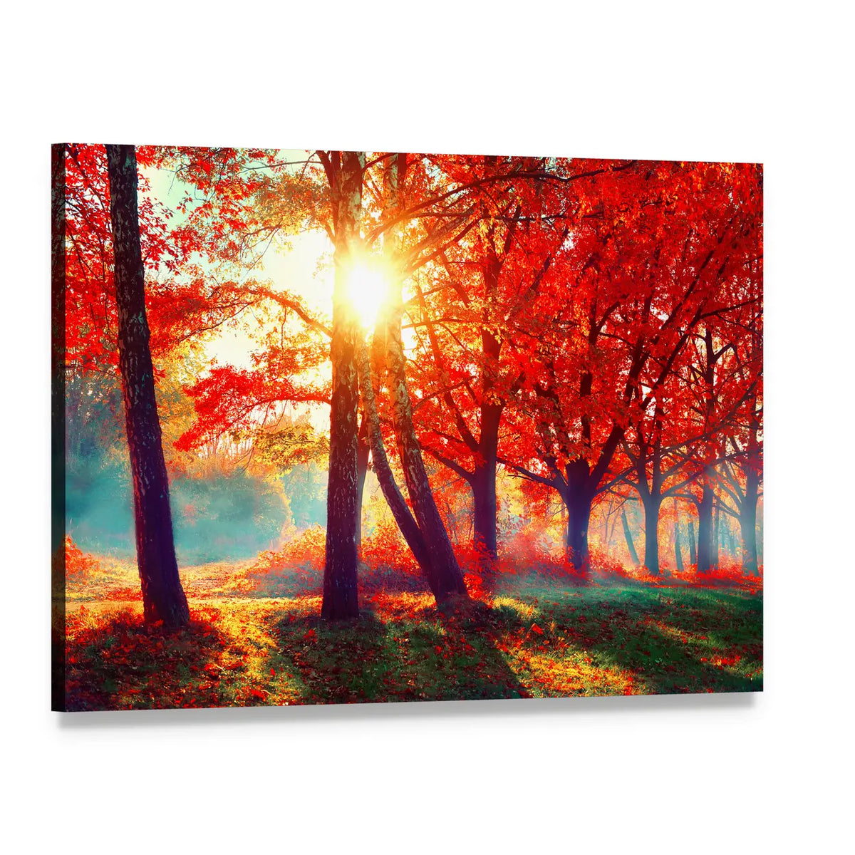 Beautiful Autumnal Park Canvas Wall Art, single panel gallery wrapped canvas, angled product view