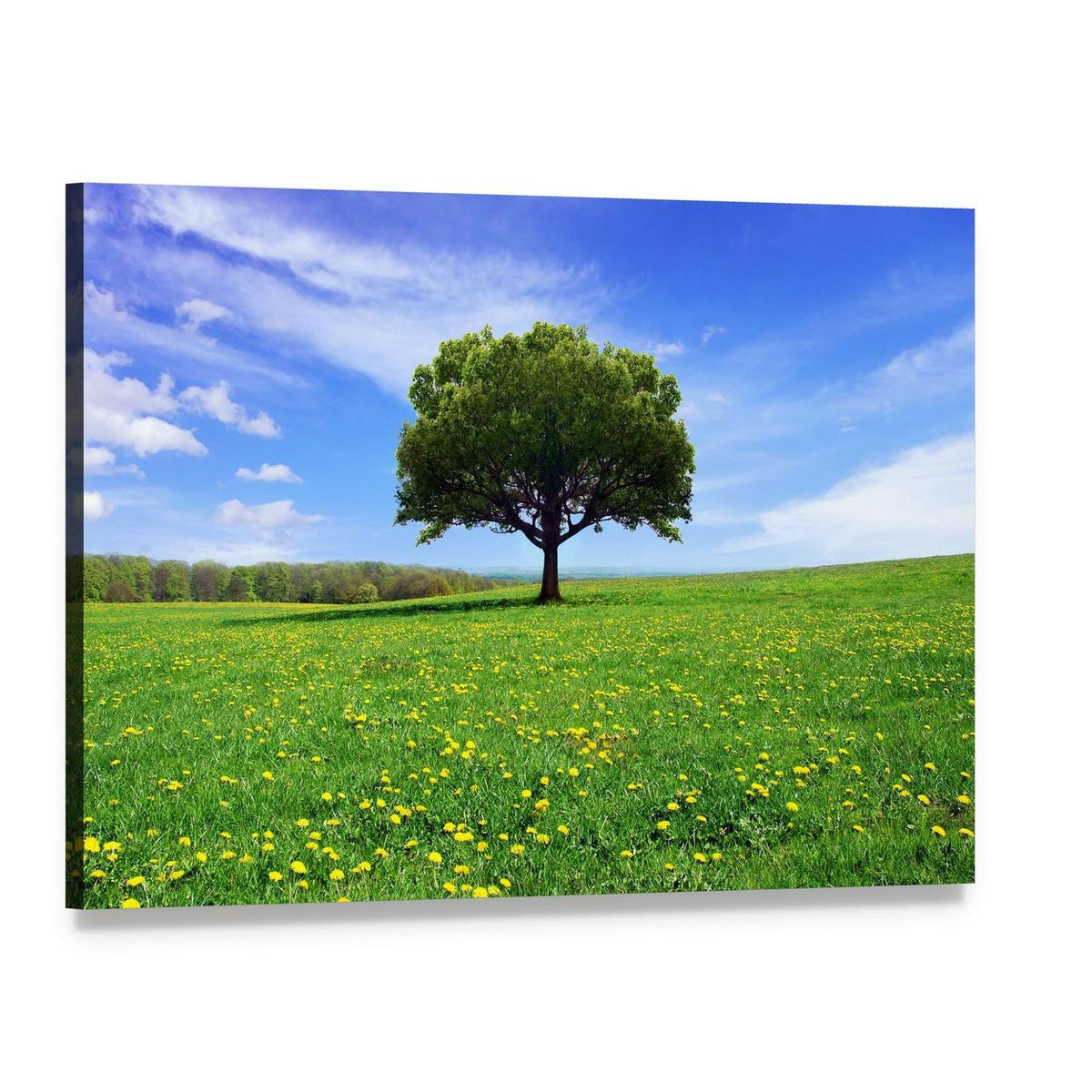 Single Tree in Spring Field Canvas Wall Art, single panel gallery wrapped canvas, angled product view