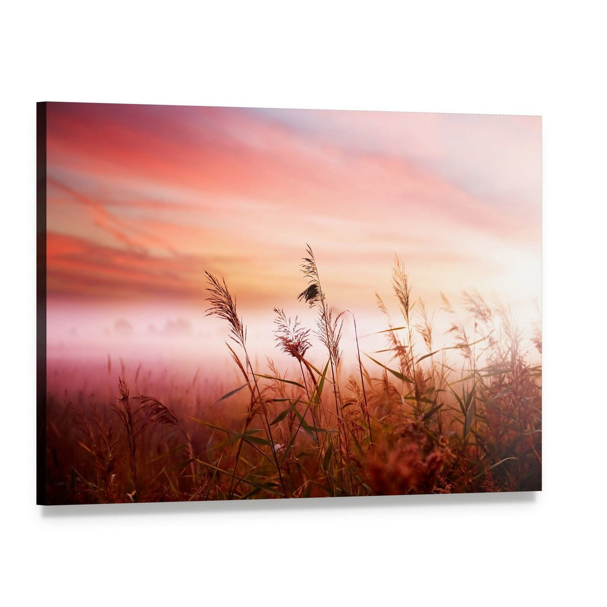 Tall Grass at Sunset with Bird Canvas Wall Art, single panel gallery wrapped canvas, angled product view
