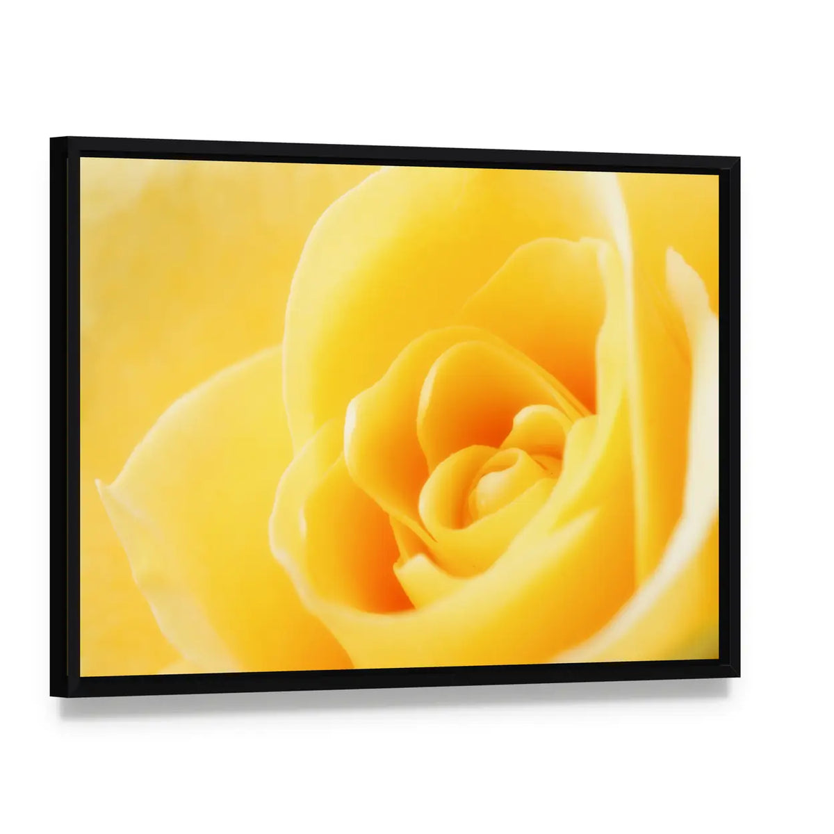 Yellow Rose Close-Up Canvas Wall Art, framed canvas in a black floater frame, angled product view