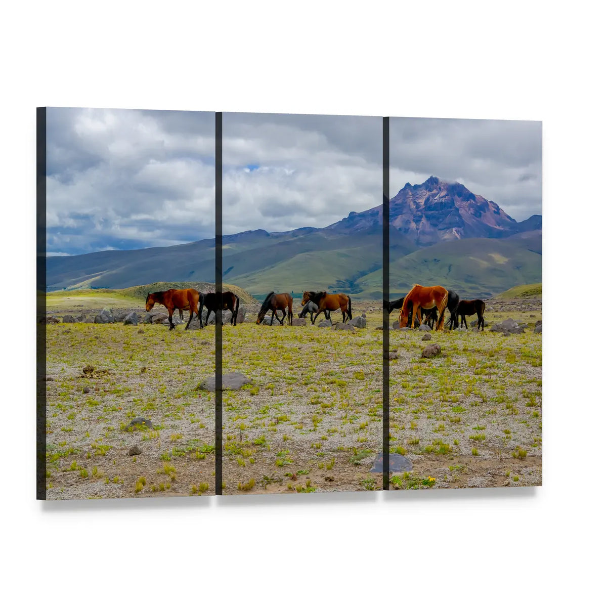 Grazing Herd of Horses by Snow-capped Mountain Canvas Wall Art, 3 panel 3 Horizontal layout gallery wrapped canvas set, angled product view