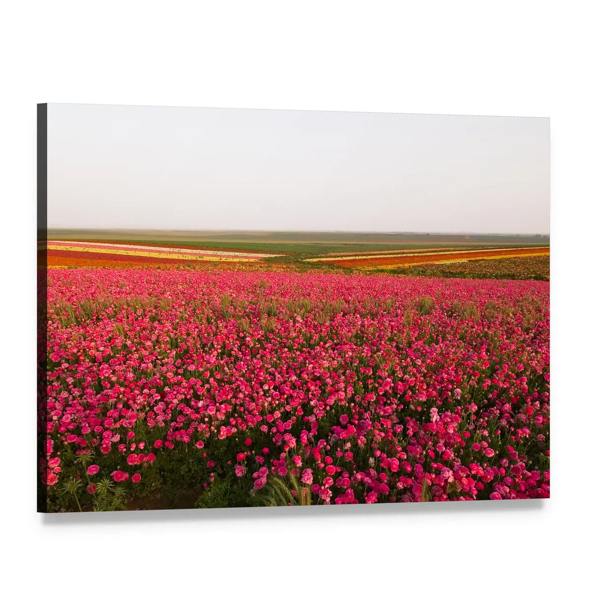Field of Spring Flowers Canvas Wall Art, single panel gallery wrapped canvas, angled product view