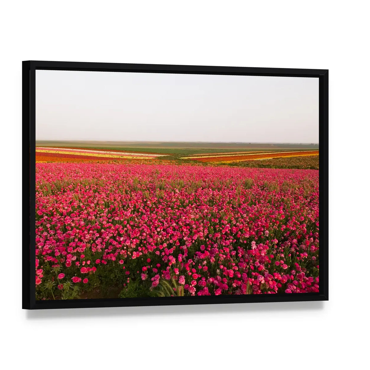 Field of Spring Flowers Canvas Wall Art, framed canvas in a black floater frame, angled product view
