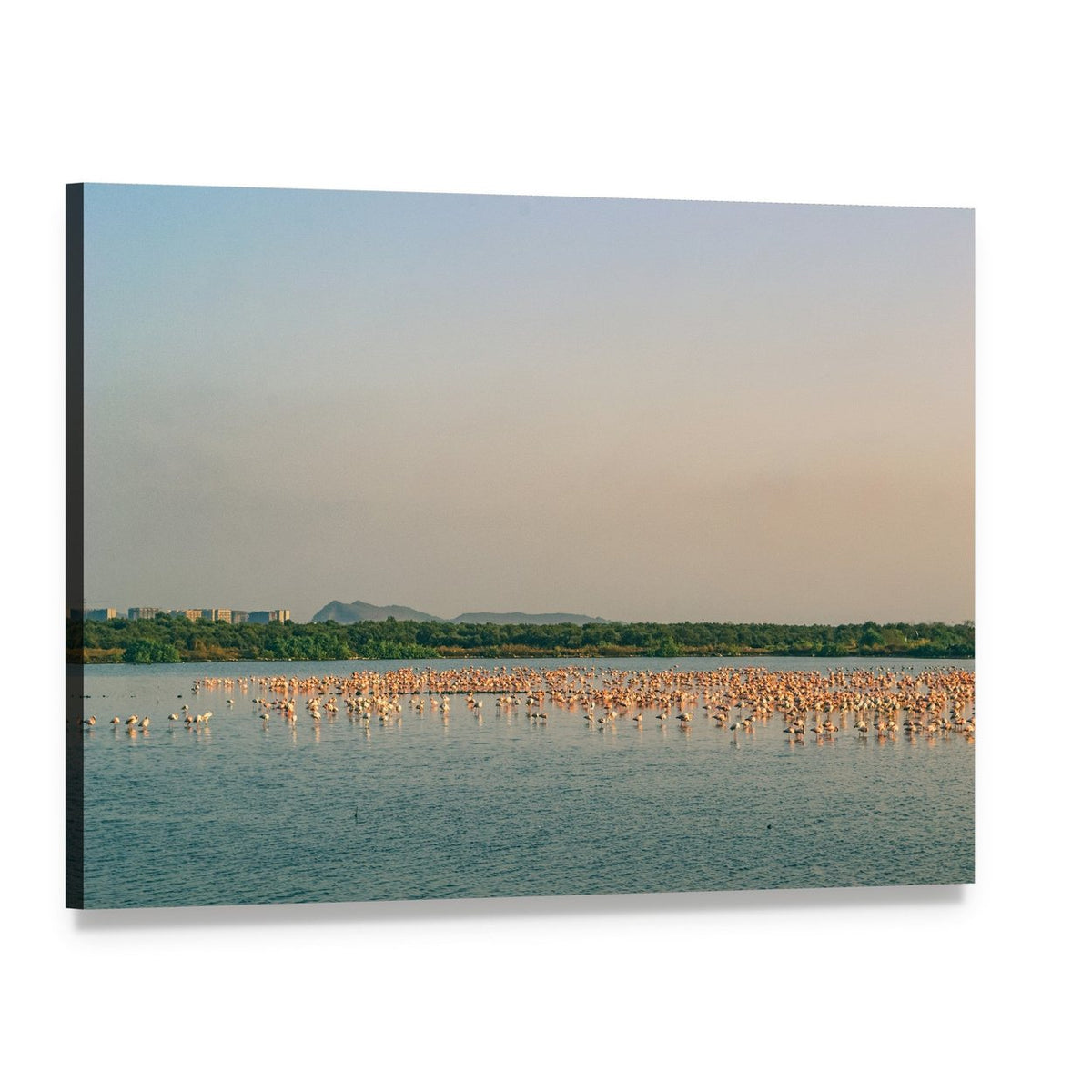 Large Flock of Flamingos on Lake Canvas Wall Art, single panel gallery wrapped canvas, angled product view