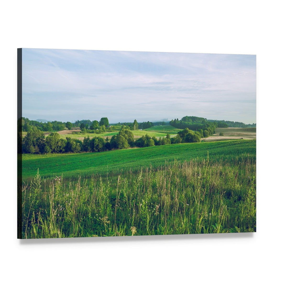 Summer Meadow with Rolling Hills Canvas Wall Art, single panel gallery wrapped canvas, angled product view