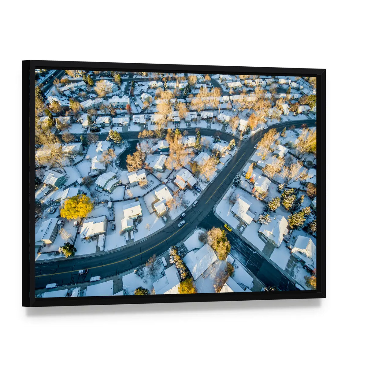Fort Collins Cityscape In Colorado Canvas Wall Art, framed canvas in a black floater frame, angled product view