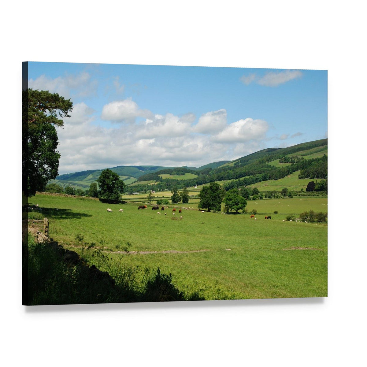 Tweed Valley Near Traquair Canvas Wall Art, single panel gallery wrapped canvas, angled product view