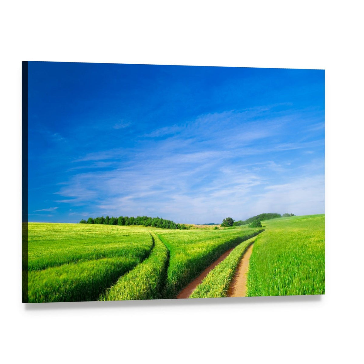 Winding Path Through Green Fields Canvas Wall Art, single panel gallery wrapped canvas, angled product view
