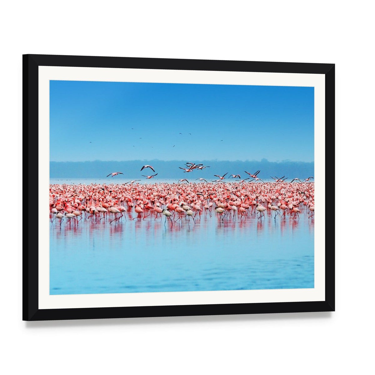Flock of Flamingos at Lake Nakuru Canvas Wall Art, framed print with white mat and black frame, angled product view