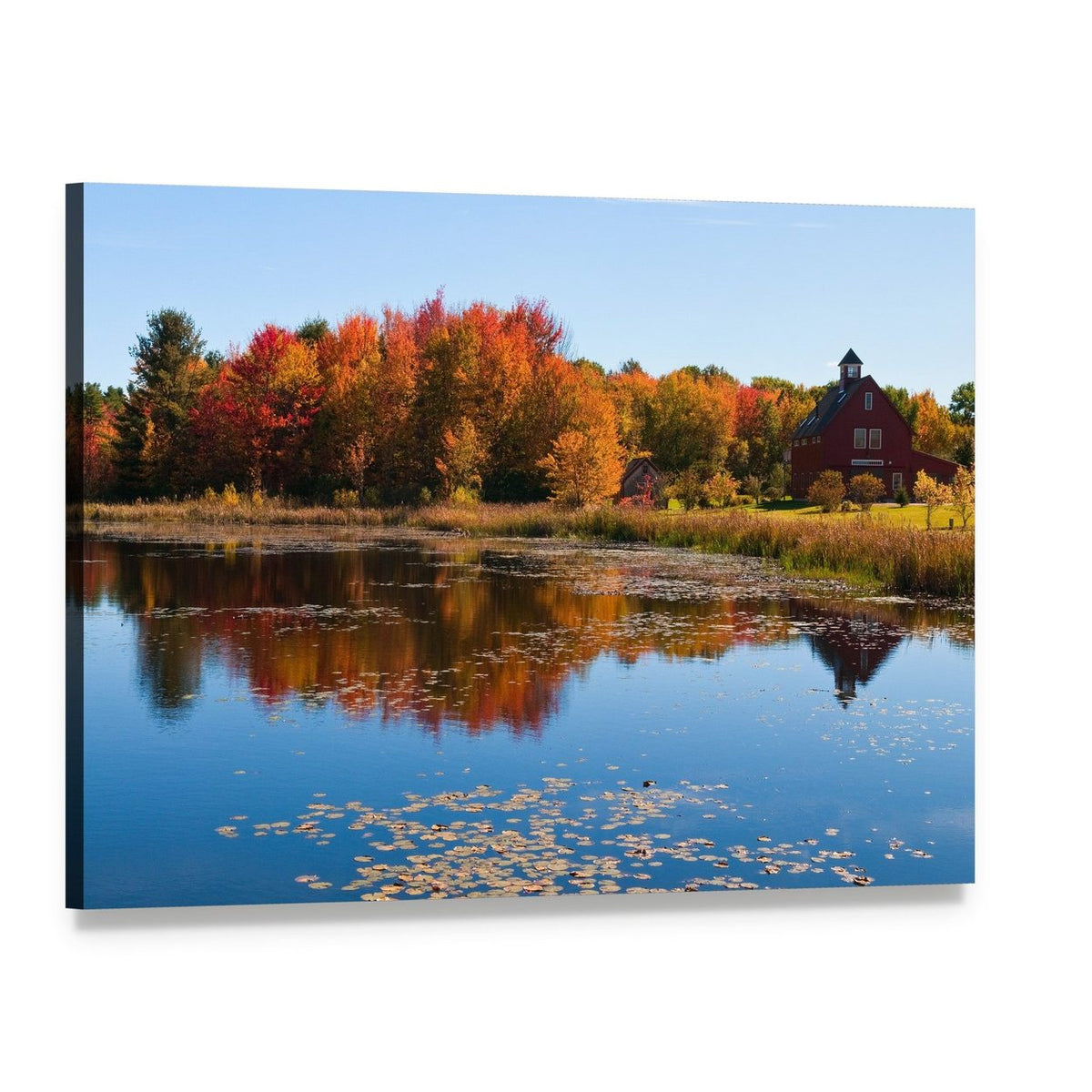 Red Barn Reflected in Autumn Pond Canvas Wall Art, single panel gallery wrapped canvas, angled product view