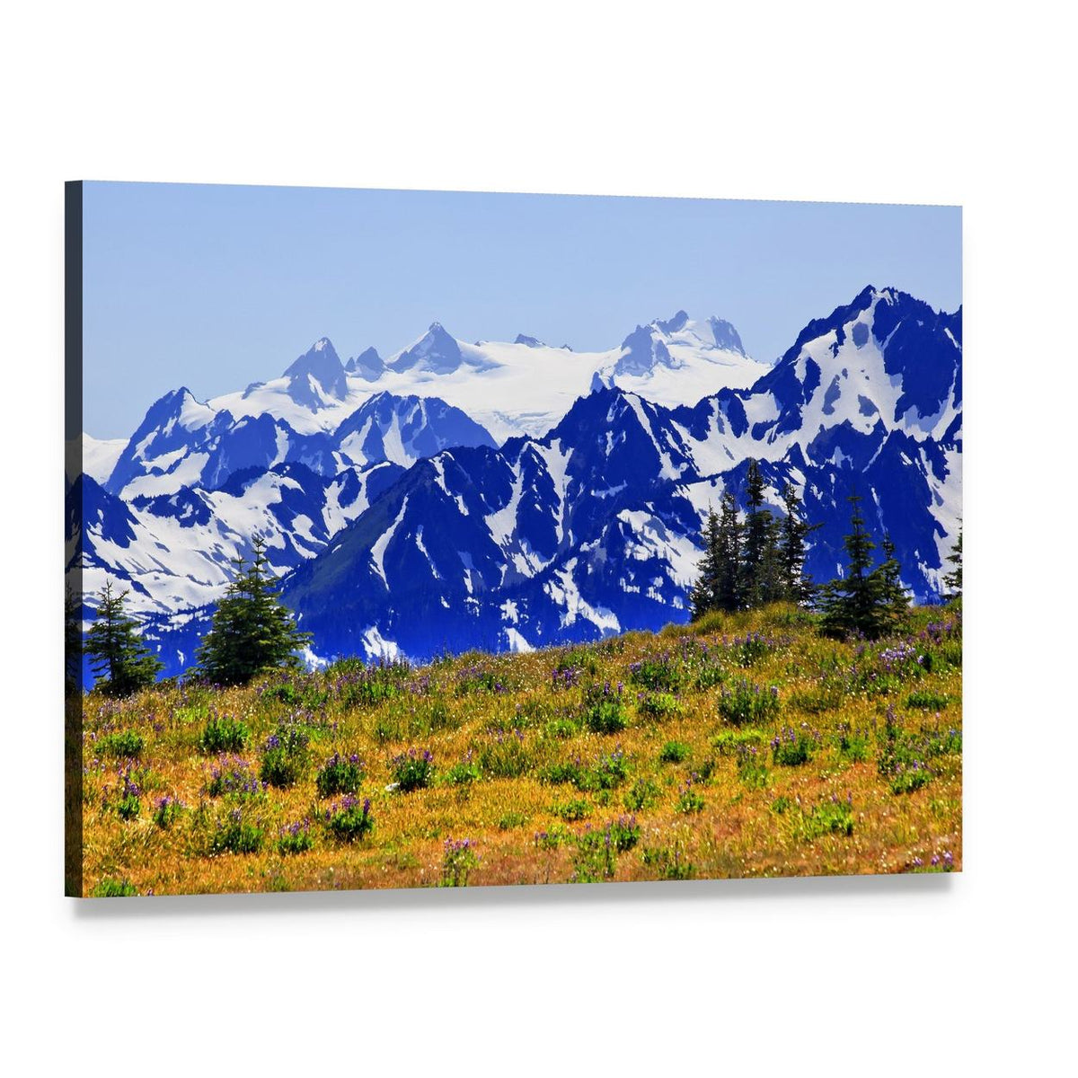 View of Mount Olympus Canvas Wall Art, single panel gallery wrapped canvas, angled product view