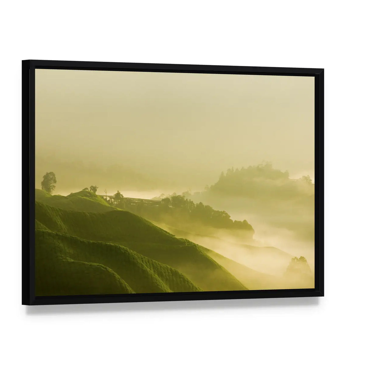 Tea Plantation At Cameron Highland Malaysia Canvas Wall Art, framed canvas in a black floater frame, angled product view