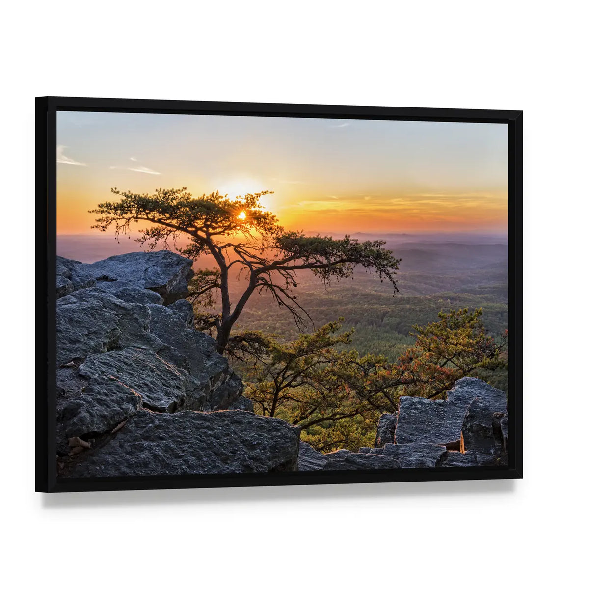 Gnarled Tree at Sunset Overlook Canvas Wall Art, framed canvas in a black floater frame, angled product view