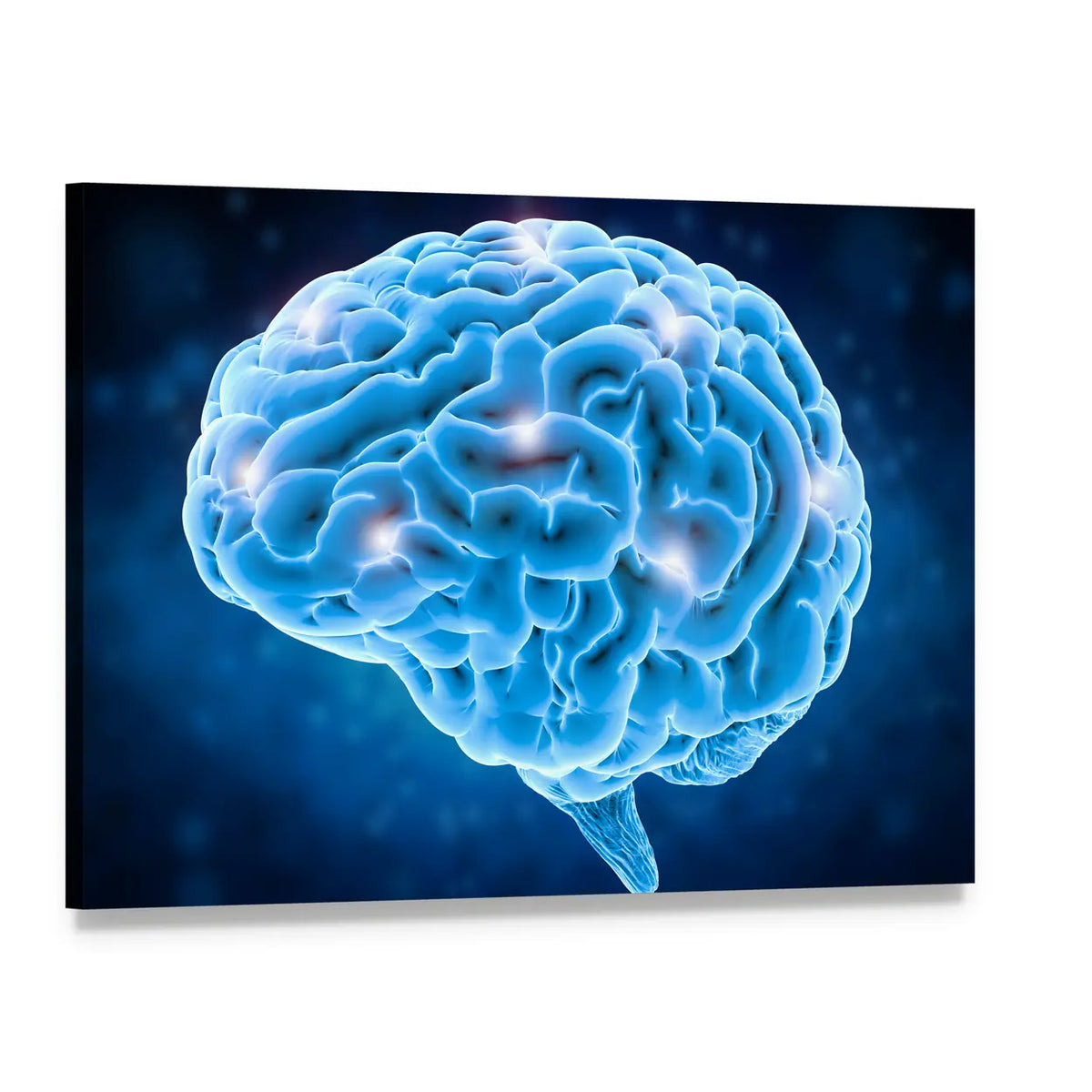 Blue Brain Activity Concept Canvas Wall Art, single panel gallery wrapped canvas, angled product view