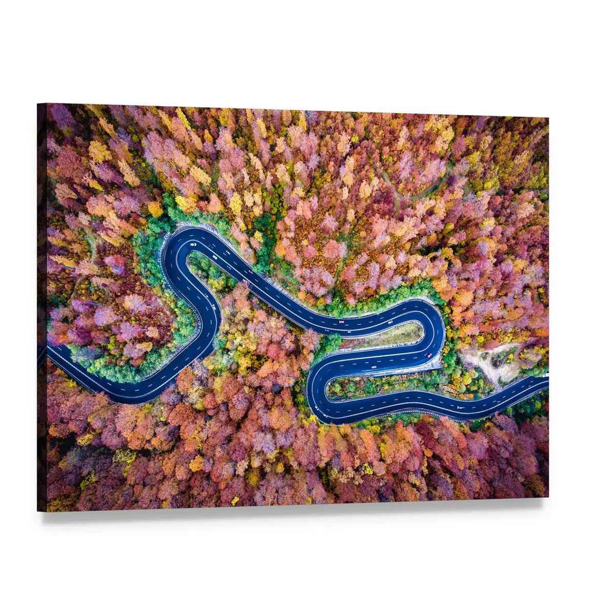 Curved Winding Road Through The Forest Canvas Wall Art, single panel gallery wrapped canvas, angled product view