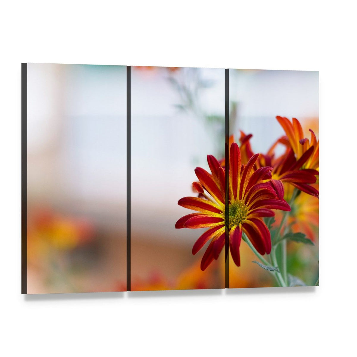 Chrysanthemum Under Sky Canvas Wall Art, 3 panel 3 Horizontal layout gallery wrapped canvas set, angled product view