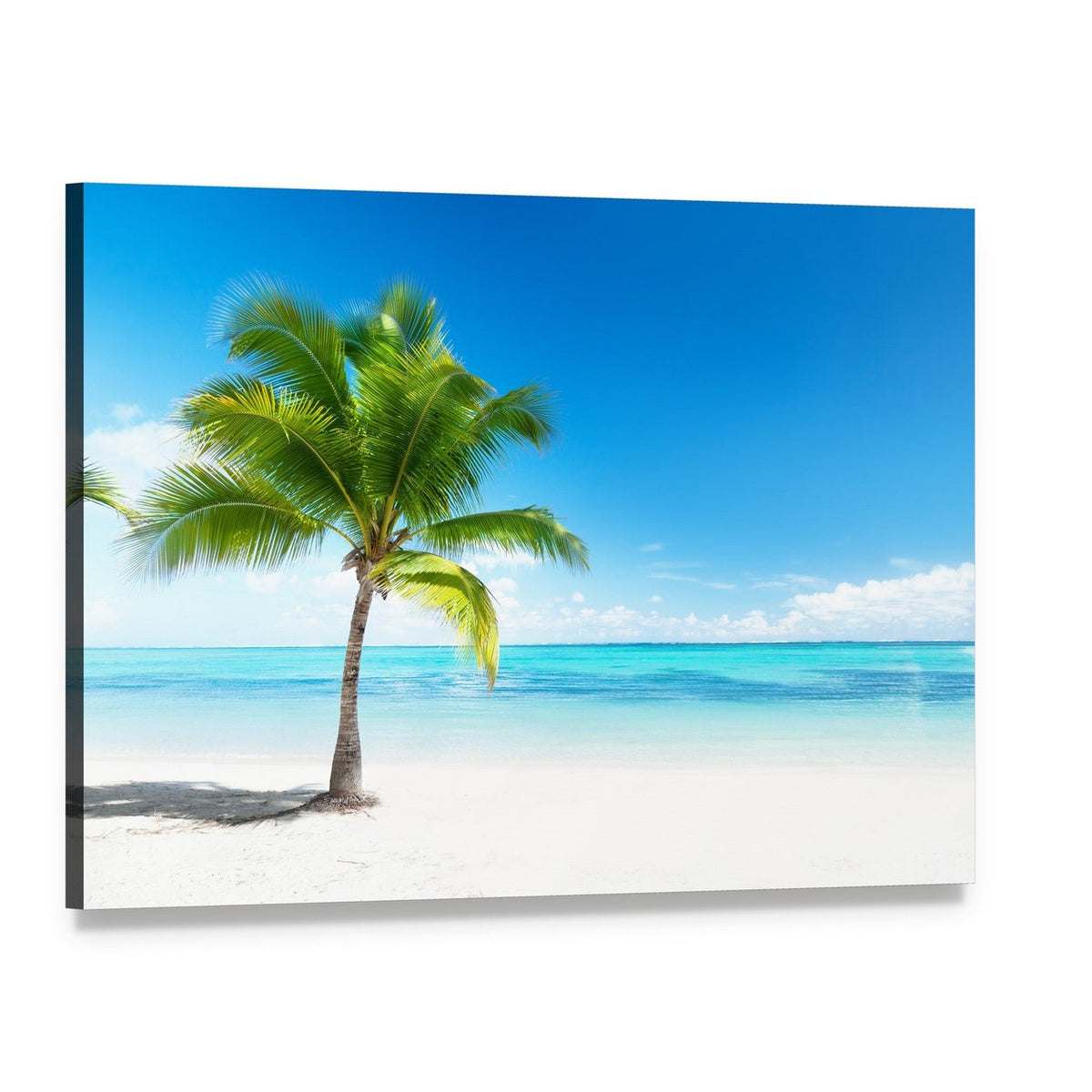 Lone Palm Tree on Tropical Beach Canvas Wall Art, single panel gallery wrapped canvas, angled product view