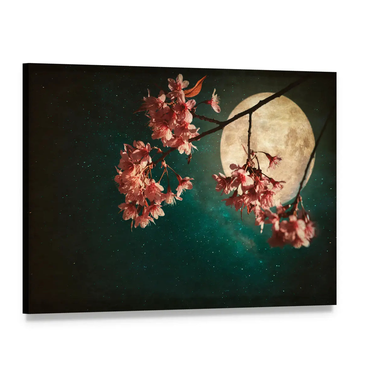 Moonlit Cherry Blossom Branch Canvas Wall Art, single panel gallery wrapped canvas, angled product view